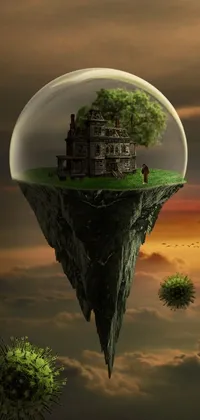Plant Grass Tree Live Wallpaper