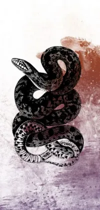 Purple snake black HD phone wallpaper  Peakpx
