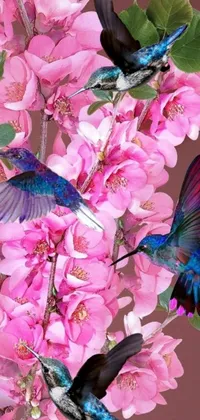 Flower Plant Bird Live Wallpaper