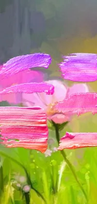 Flower Plant Petal Live Wallpaper