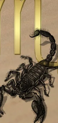 Racy Art Arthropod Live Wallpaper