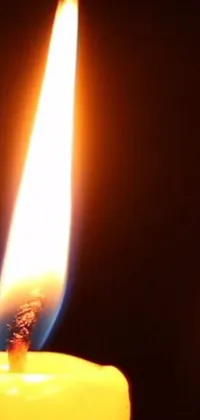 Candle Fire Flame Live Wallpaper