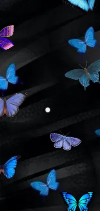 Nature White Light Live Wallpaper