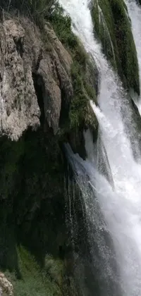 Water Waterfall Plant Live Wallpaper