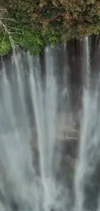 Water Waterfall Spring Live Wallpaper
