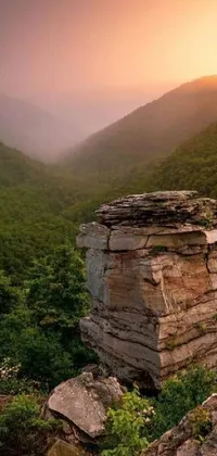 Plant Mountain Cloud Live Wallpaper