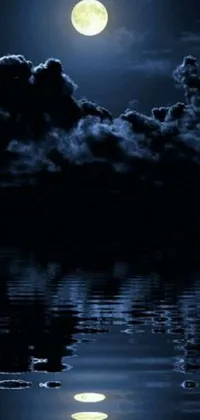 Nature Water Plant Live Wallpaper