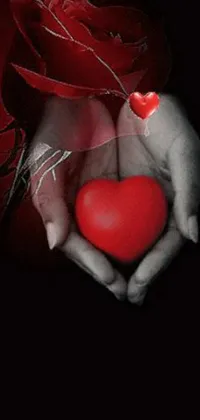 Red Petal Racy Live Wallpaper