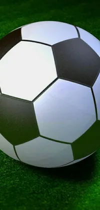 Grass Sports Equipment Ball Live Wallpaper