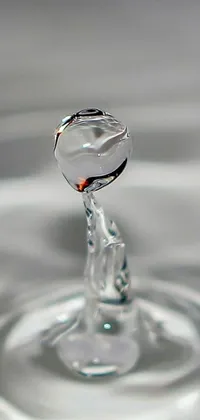 Water Macro Photography Drop Live Wallpaper