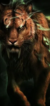 Carnivore Snout Felidae Live Wallpaper