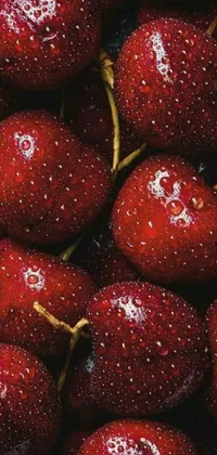 Plant Food Liquid Live Wallpaper