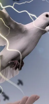Bird Light Art Live Wallpaper