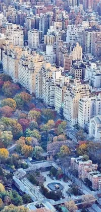 Nature World Building Live Wallpaper