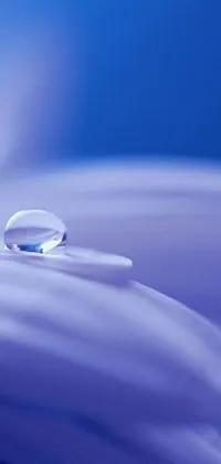 Water Droplet Abstract Live Wallpaper