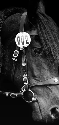 Monochrome Fashion Accessory Black Live Wallpaper