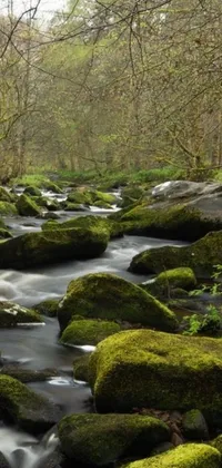 Nature Water Waterfall Live Wallpaper