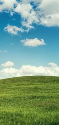 Nature Plant Grass Live Wallpaper