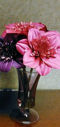 Flower Plant Petal Live Wallpaper
