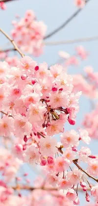 Flower Plant Leaf Live Wallpaper