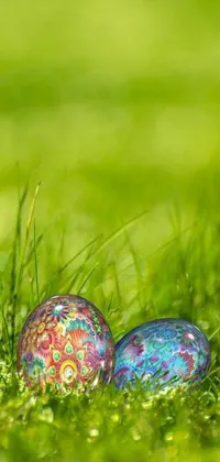 Grass Ball Easter Live Wallpaper