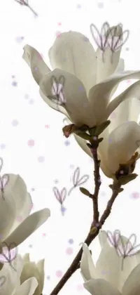 Flower Plant Tree Live Wallpaper