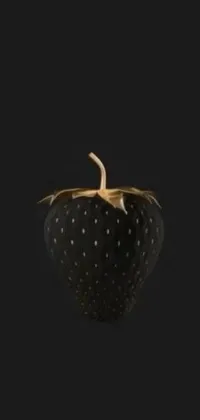 Plant Food Liquid Live Wallpaper