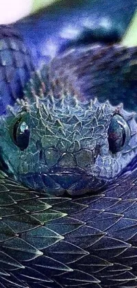 Lizard Reptile Underwater Live Wallpaper