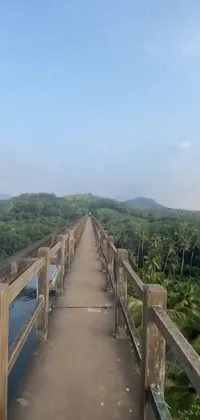 Plant Tree Landscape Live Wallpaper