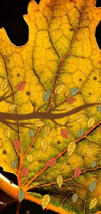 Brown Leaf Branch Live Wallpaper