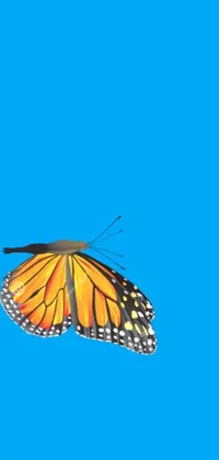 Painting Invertebrate Electric Blue Live Wallpaper