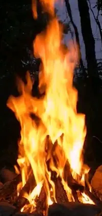 Nature Fire Flame Live Wallpaper