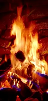 live fireplace screensaver