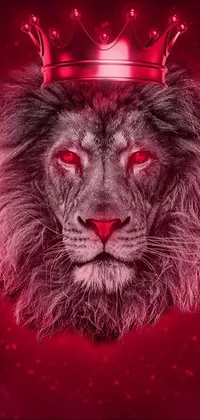 Painting Pink Carnivore Live Wallpaper