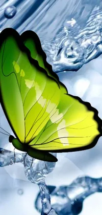 Water Arthropod Butterfly Live Wallpaper