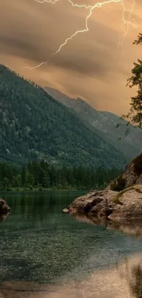 Nature Water Plant Live Wallpaper