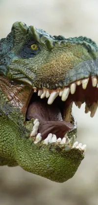 Reptile Terrestrial Animal Organism Live Wallpaper