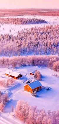 Nature Plant Tree Live Wallpaper
