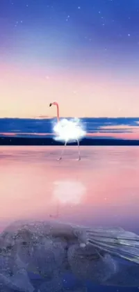 Water Cloud Sky Live Wallpaper