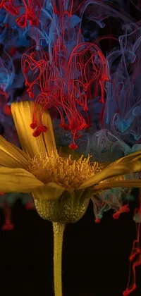 Nature Flower Plant Live Wallpaper