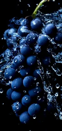 Electric Blue Food Berry Live Wallpaper