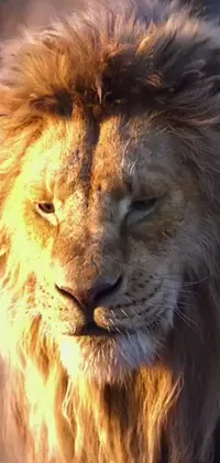 Sky Carnivore Felidae Live Wallpaper