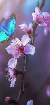 Flower Plant Petal Live Wallpaper