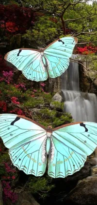 Nature Plant Leaf Live Wallpaper