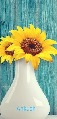 Flower Orange Plant Live Wallpaper