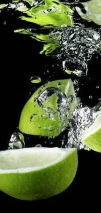 Water Plant Food Live Wallpaper
