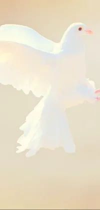 Bird Art Beak Live Wallpaper