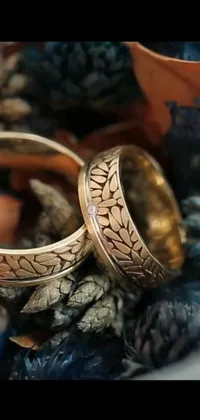Wood Circle Fashion Accessory Live Wallpaper