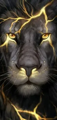Carnivore Felidae Lion Live Wallpaper