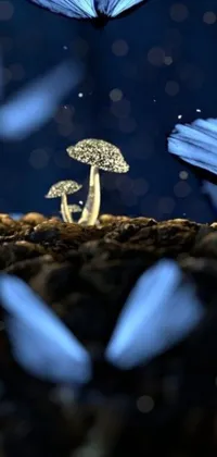 Plant Sky Wood Live Wallpaper